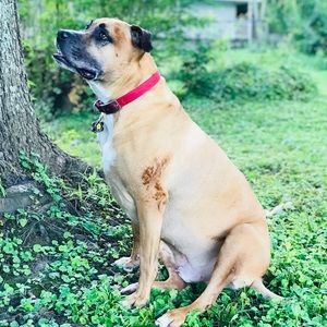 Meet your Posher, Stacey